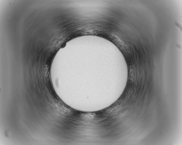 X0000094970318200712271748