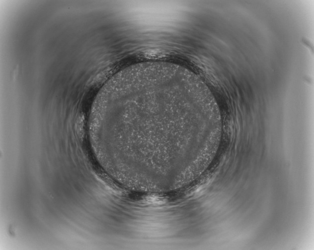 X0000094970319200712271748