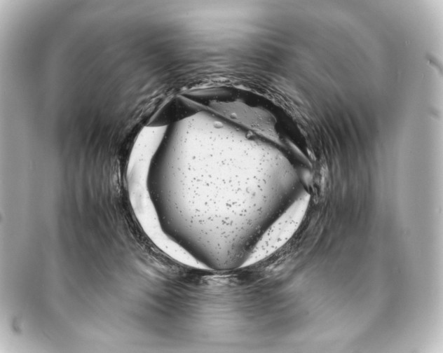 X0000094970320200712271748