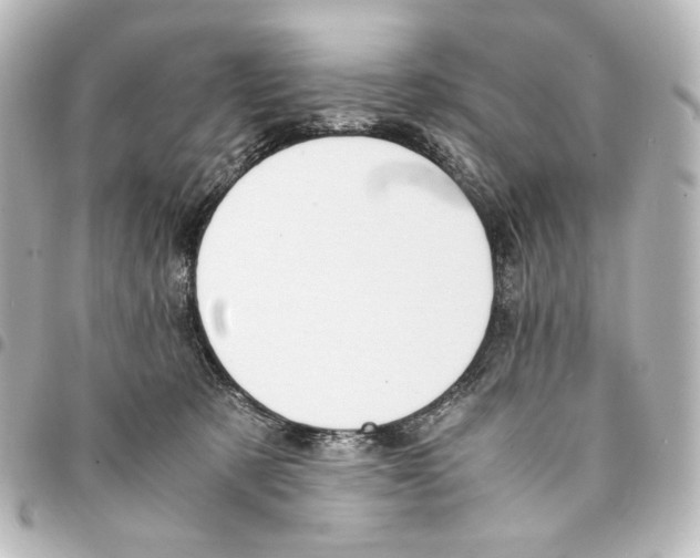 X0000094970321200712271748
