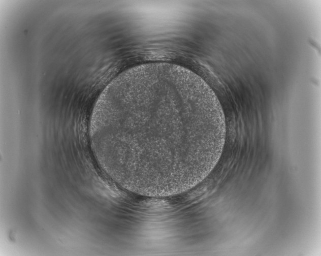 X0000094970322200712271748