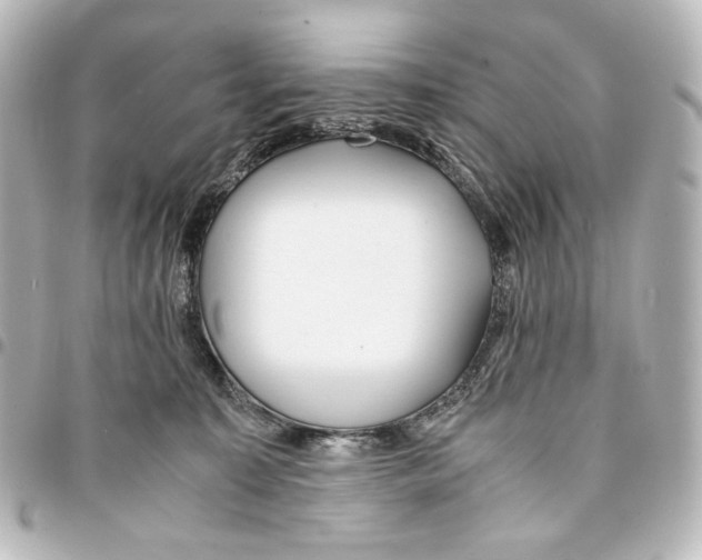 X0000094970323200712271748