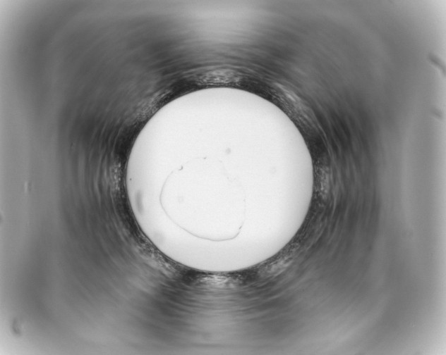 X0000094970326200712271748
