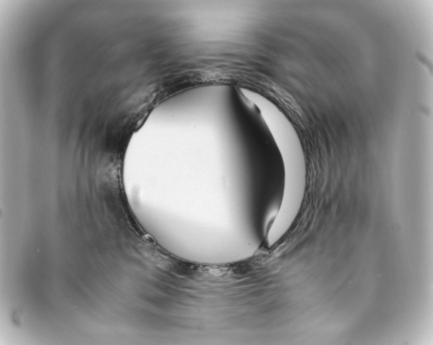 X0000094970329200712271748