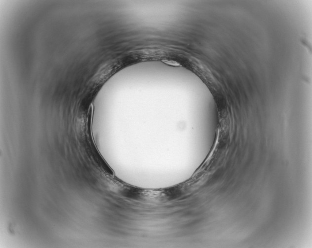 X0000094970333200712271748