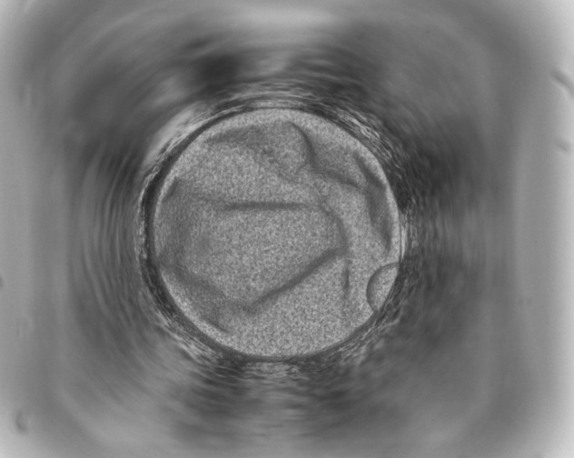 X0000094970339200712271747