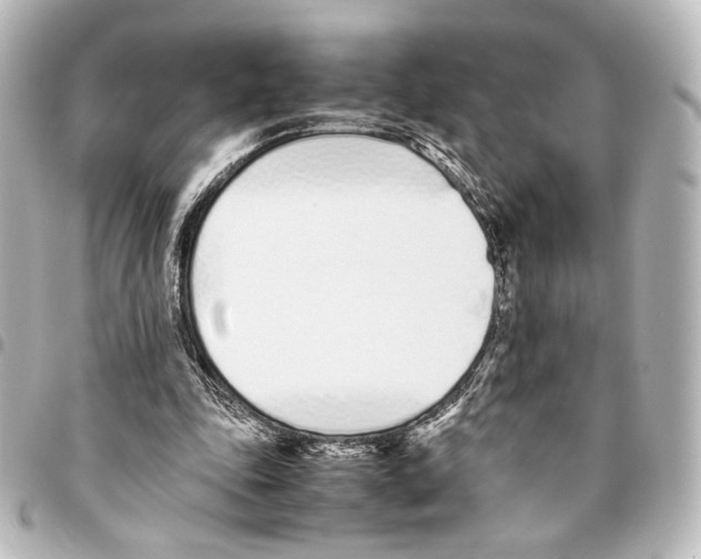 X0000094970343200712271747