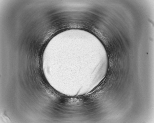 X0000094970347200712271748