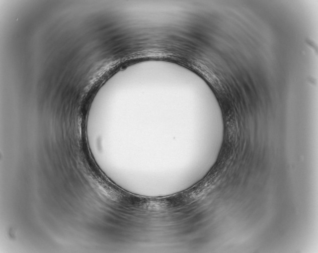 X0000094970350200712271748