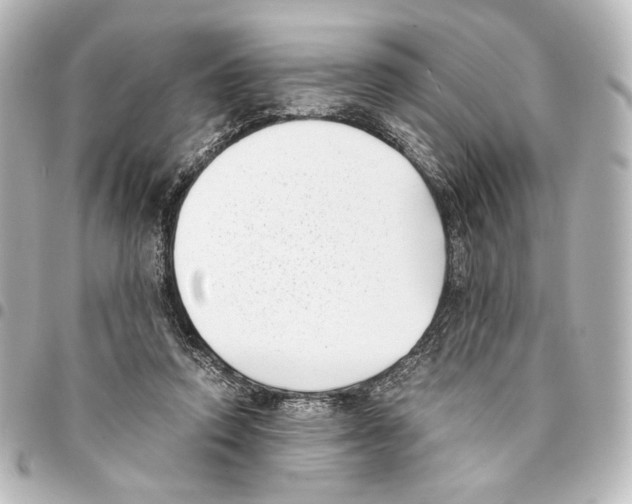 X0000094970354200712271748