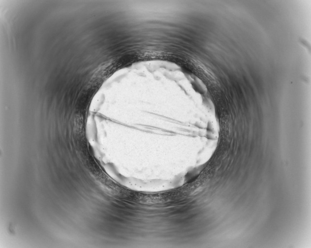 X0000094970361200712271748