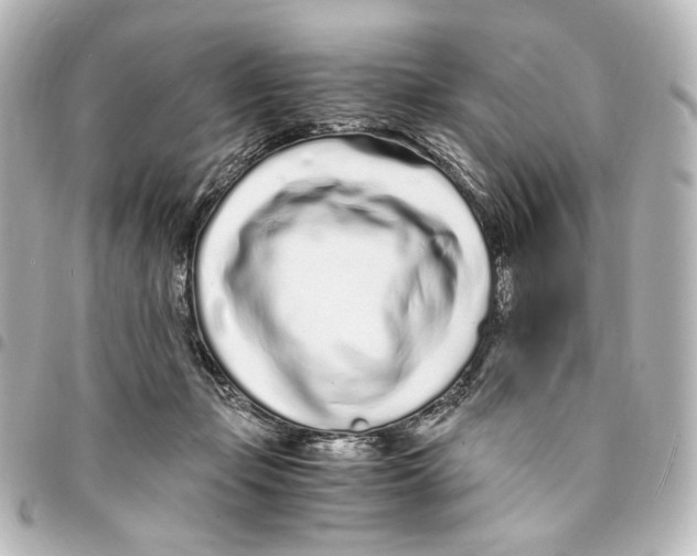 X0000094970365200712271748