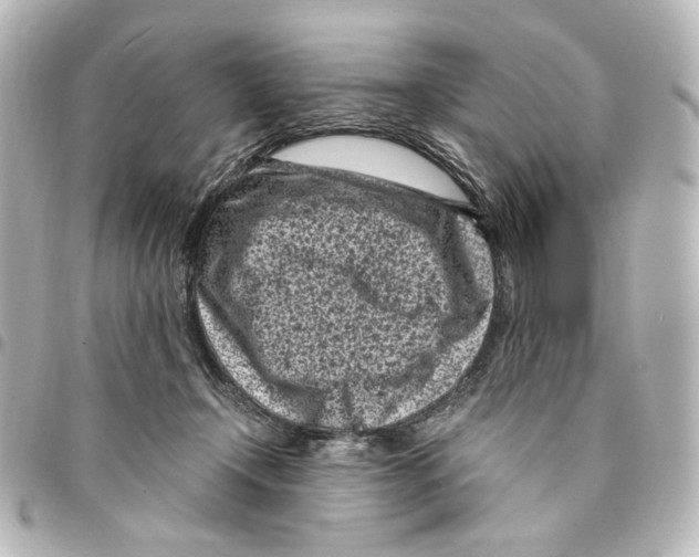 X0000094970366200712271748
