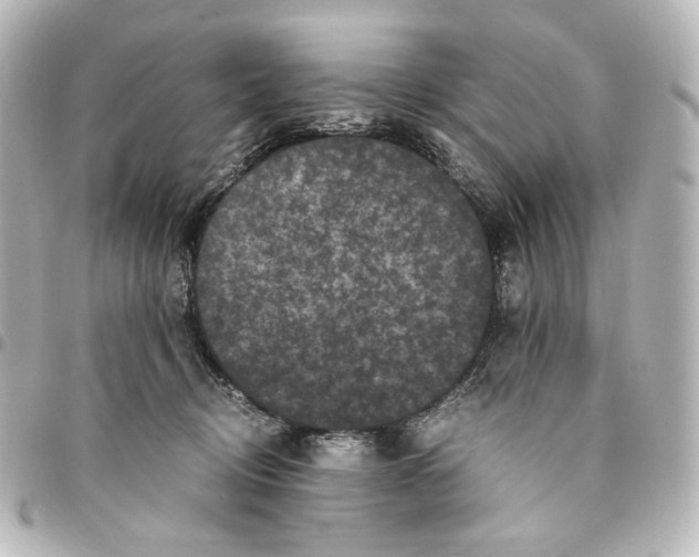 X0000094970370200712271748