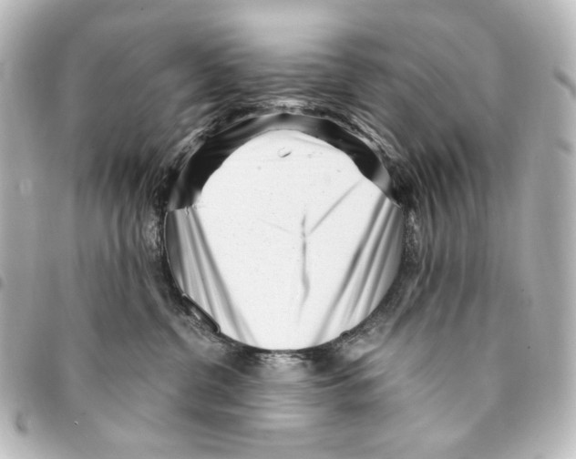 X0000094970380200712271748