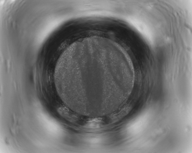X0000094970382200712271748