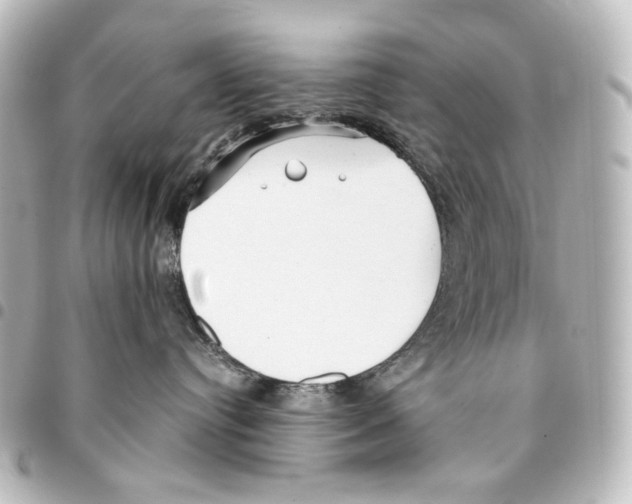 X0000094970384200712271748
