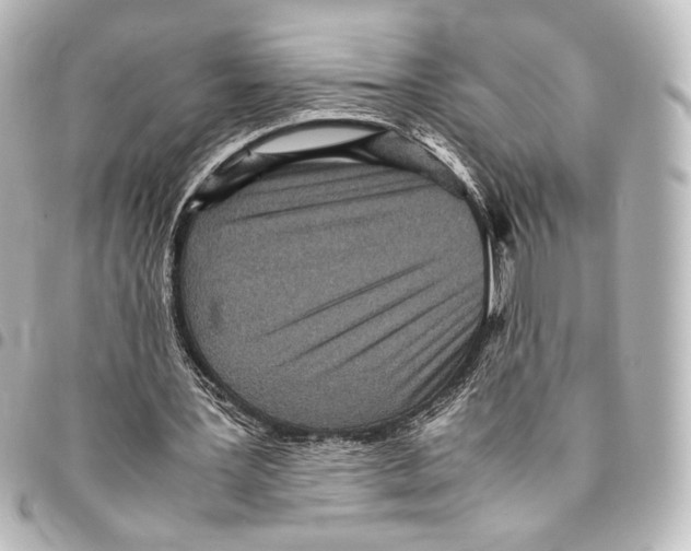 X0000094970387200712271747