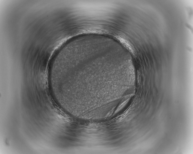 X0000094970388200712271747