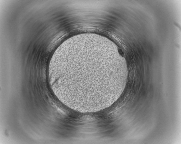 X0000094970390200712271747