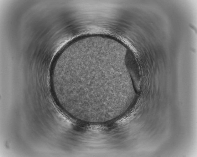 X0000094970391200712271747