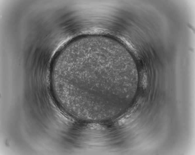X0000094970392200712271747
