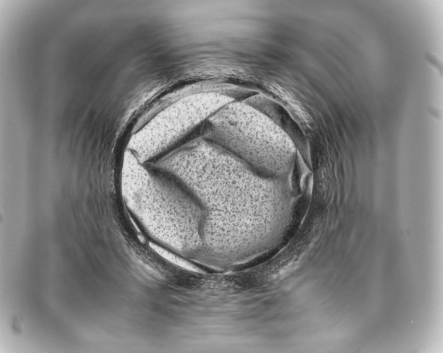 X0000094970399200712271747