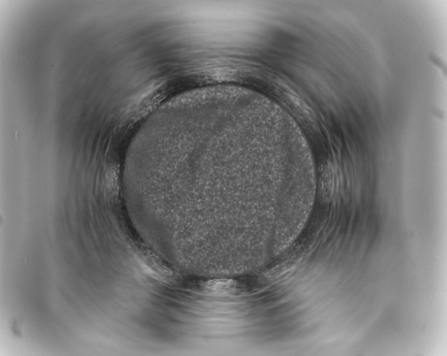 X0000094970410200712271747