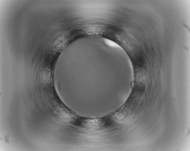 X0000094970411200712271747