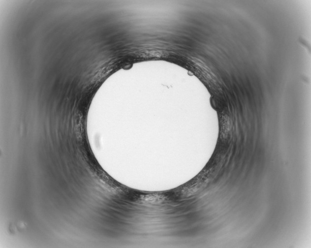 X0000094970414200712271747