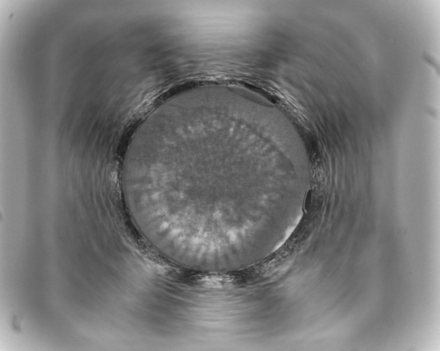 X0000094970415200712271747
