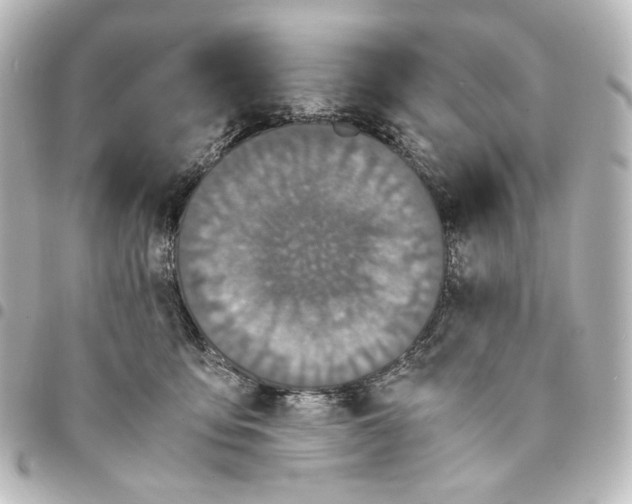 X0000094970419200712271747