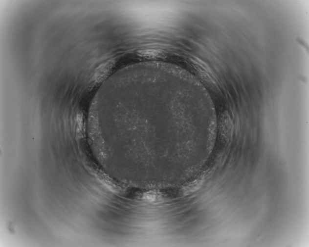 X0000094970420200712271747
