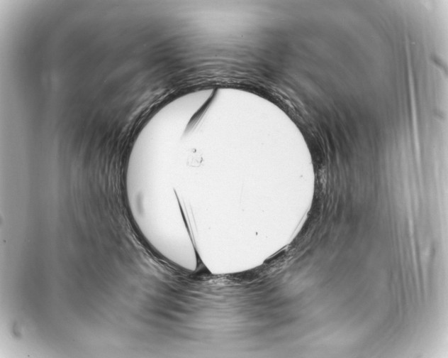 X0000094970423200712271747