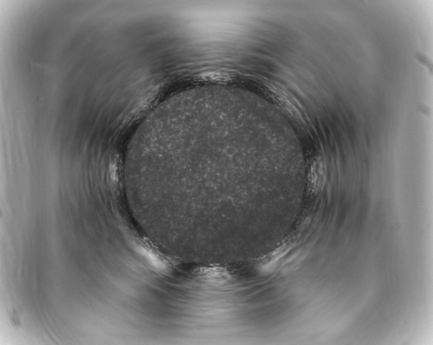 X0000094970424200712271747