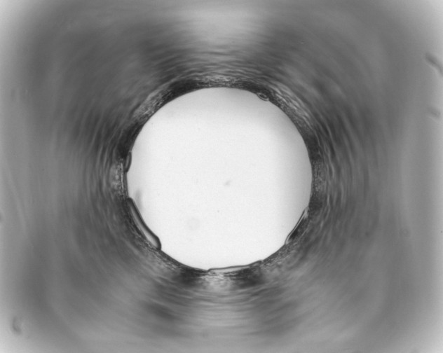 X0000094970425200712271747