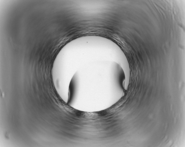 X0000094970429200712271747