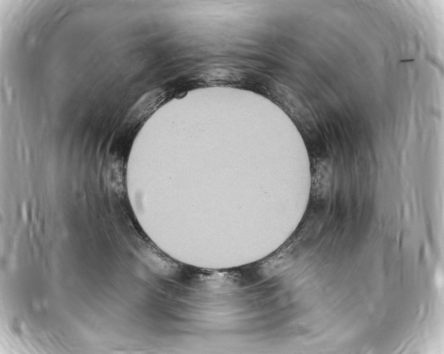 X0000094970430200712271747