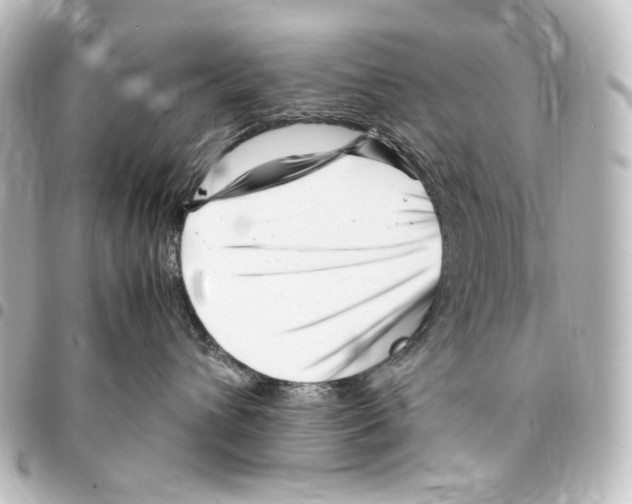 X0000094970432200712271747