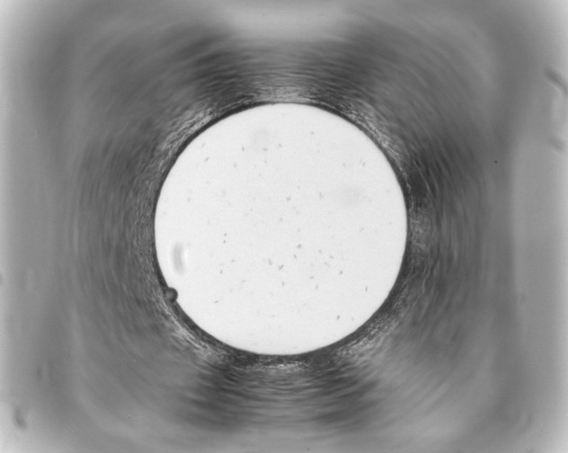 X0000094970433200712271746