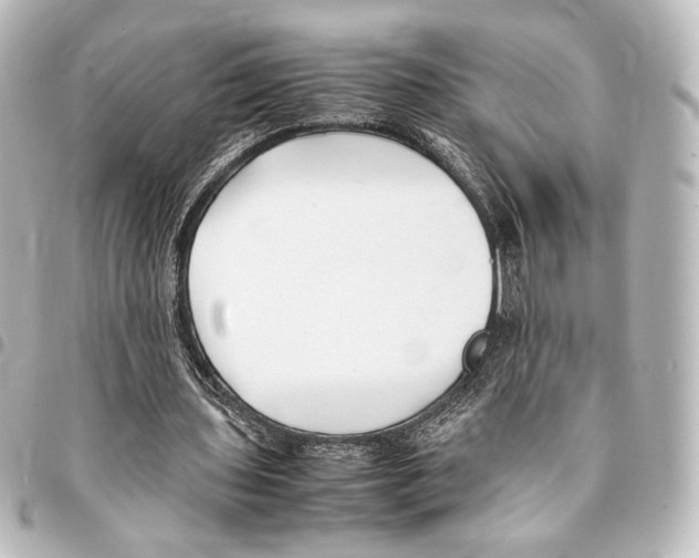 X0000094970435200712271746