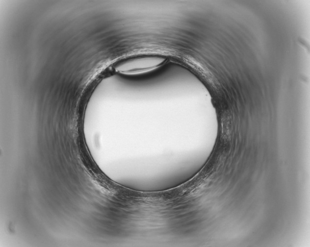 X0000094970436200712271746