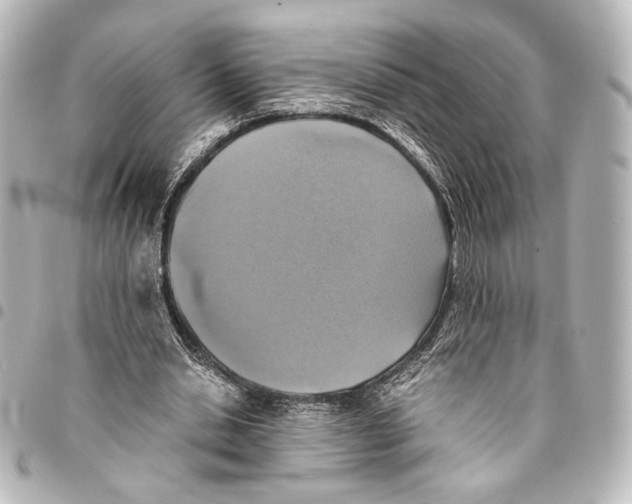 X0000094970438200712271746