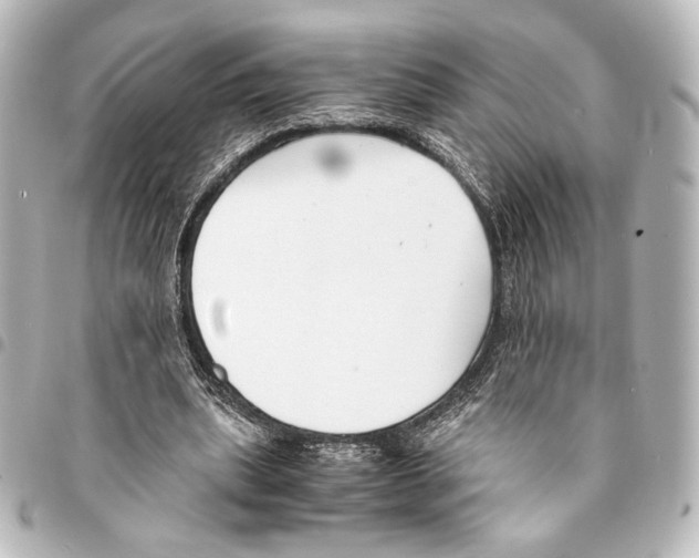X0000094970439200712271746