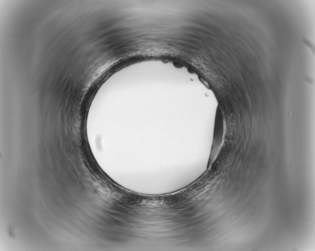X0000094970440200712271746
