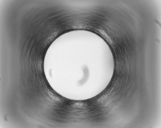X0000094970441200712271746