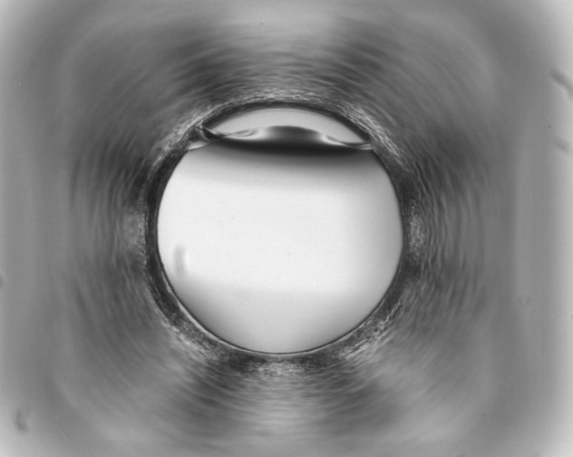 X0000094970444200712271746