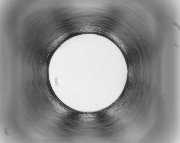X0000094970445200712271746