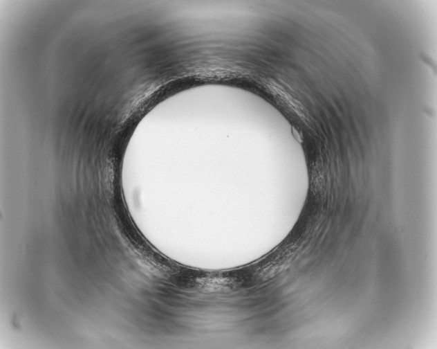 X0000094970448200712271746