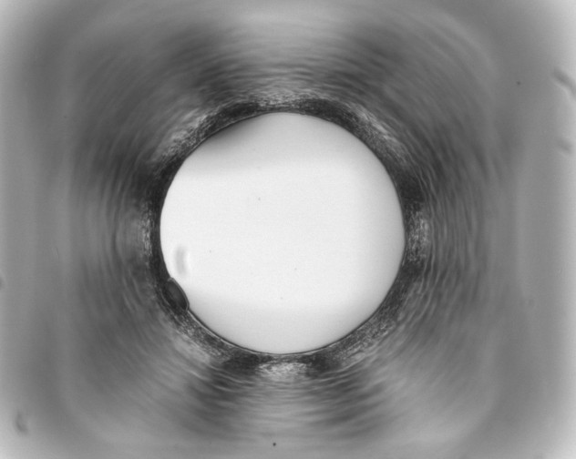 X0000094970452200712271746